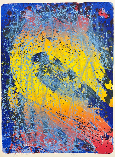 Frans widerberg nordlys