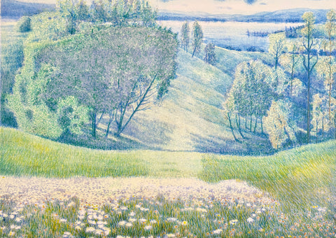 Wild flowers II
