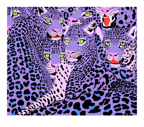 Wild cats