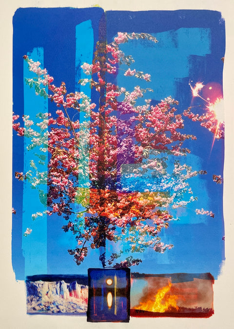 Bloom