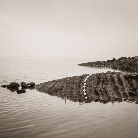 Coastline