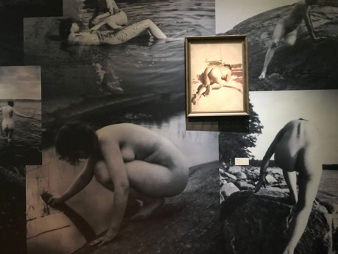 Anders Zorn - Drømmer i Paris