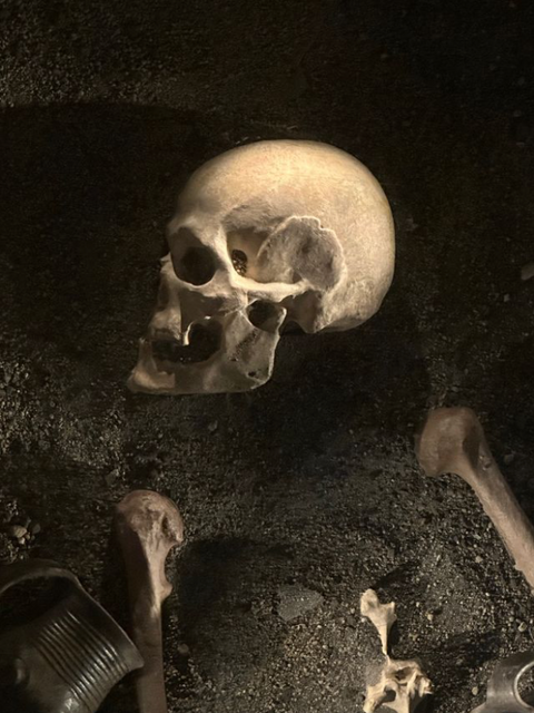 Natur morte