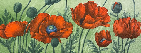 Jan Harr