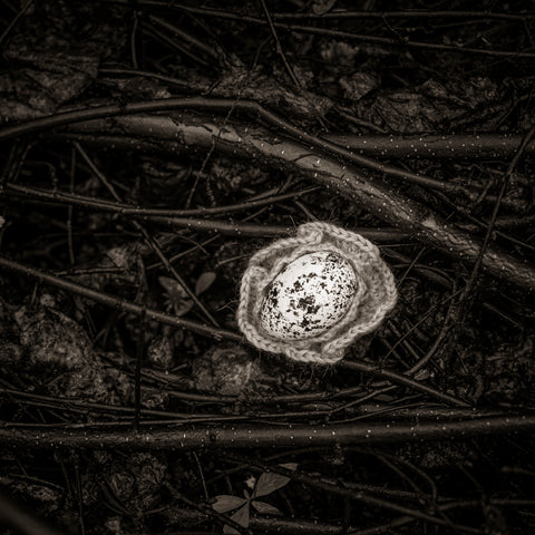 The egg I