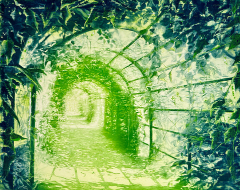 Pergola