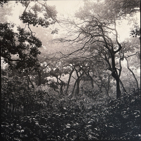 Morgen. Nepal