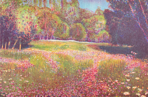 Wild flowers