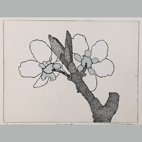 Epleblomst